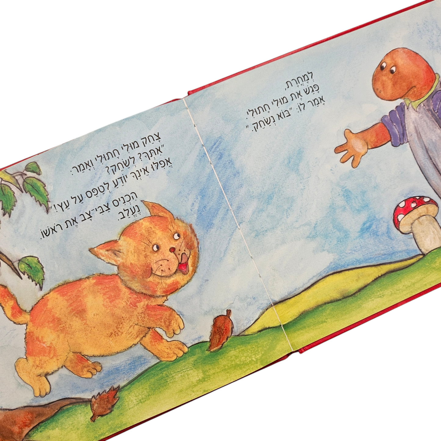 צבי צב נעלב - שרה זלוף