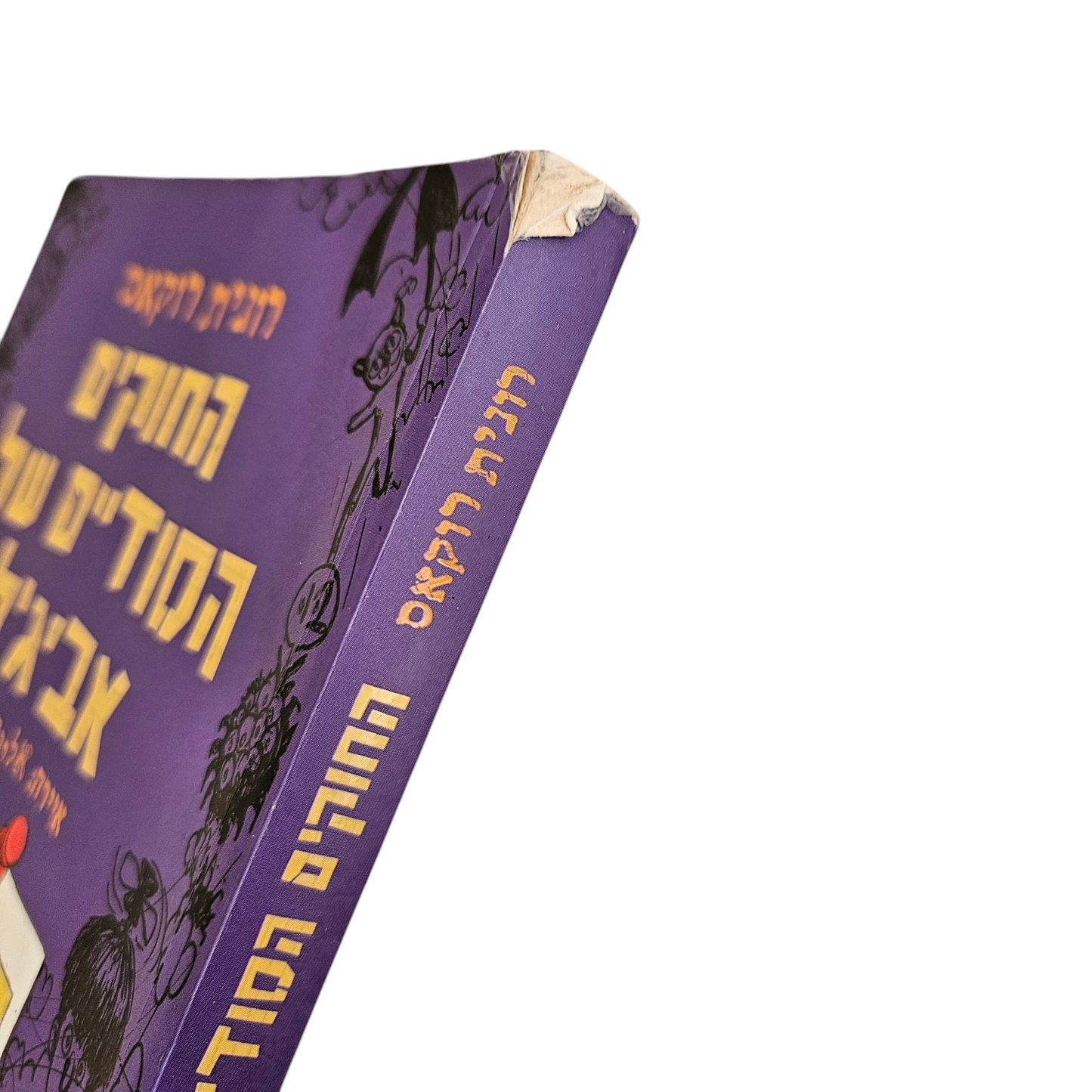 החוקים הסודיים של אביגיל - רונית רוקאס