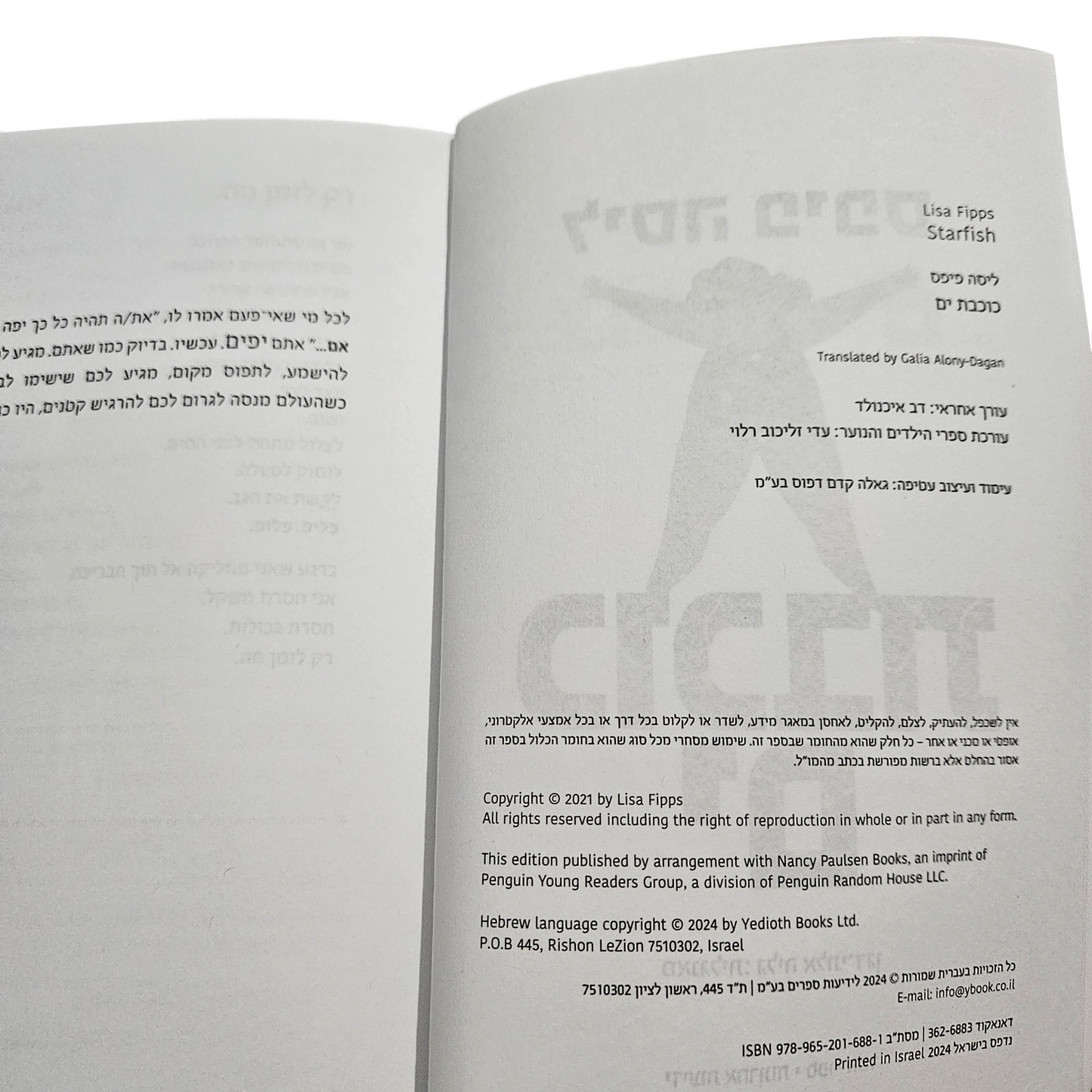כוכבת ים - לילה פיפס