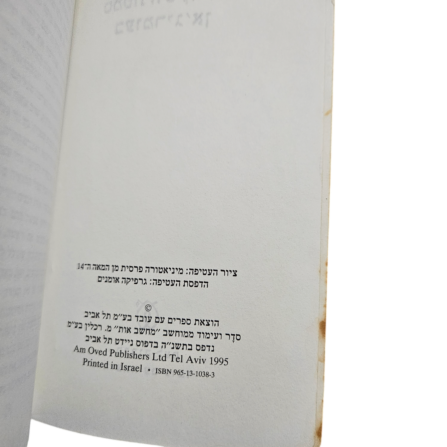 סמטת השקדיות בעומריג'אן - דורית רביניאן