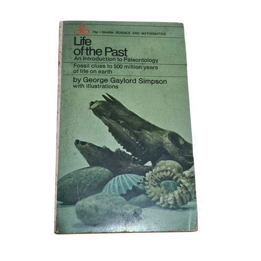 Life of thr past‏