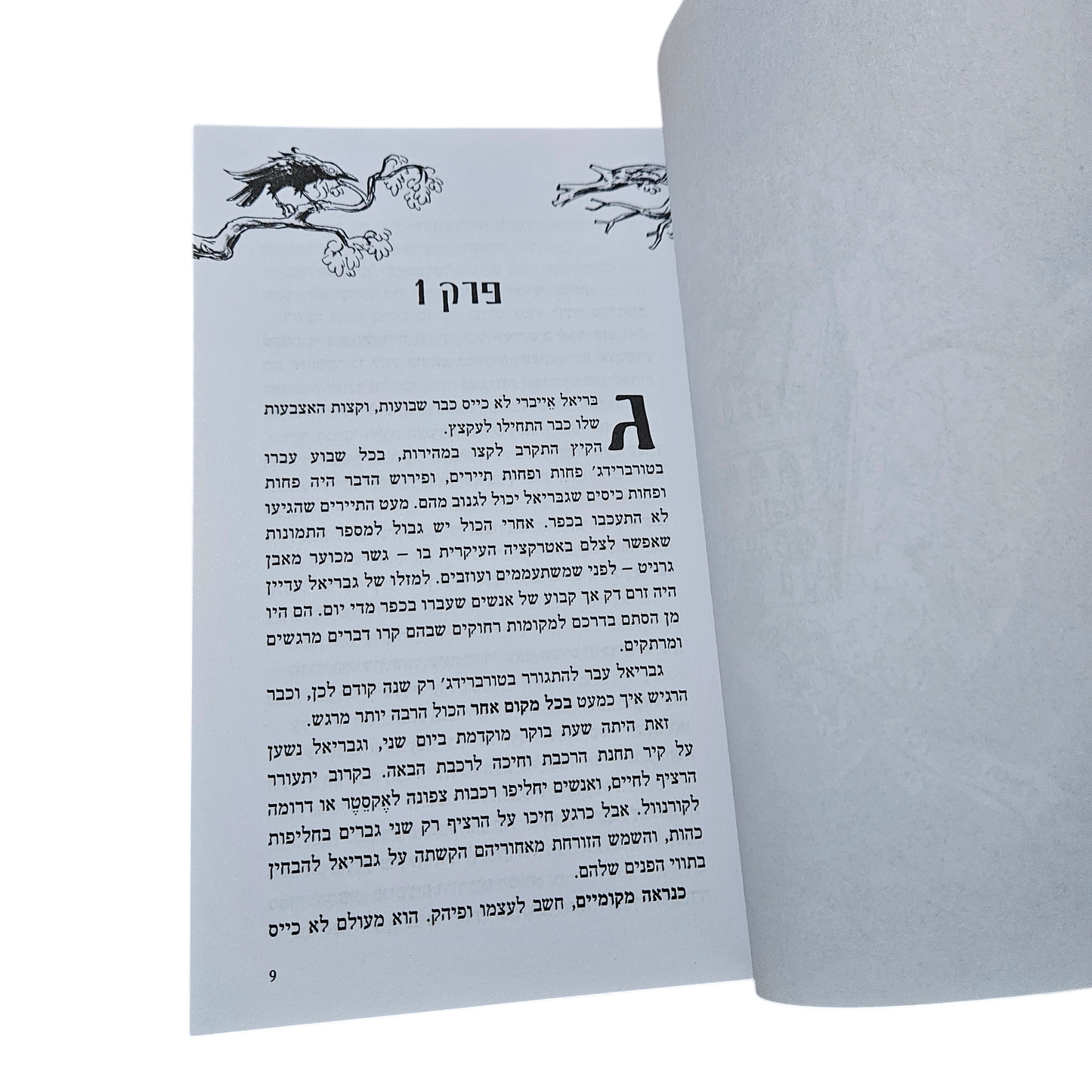 קרוק הייבן בית ספר לגנבים - ג'יי ג'יי ארקנג'ו