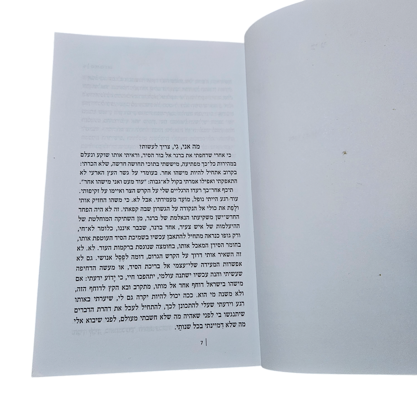 כי גי - סמי ברדוגו
