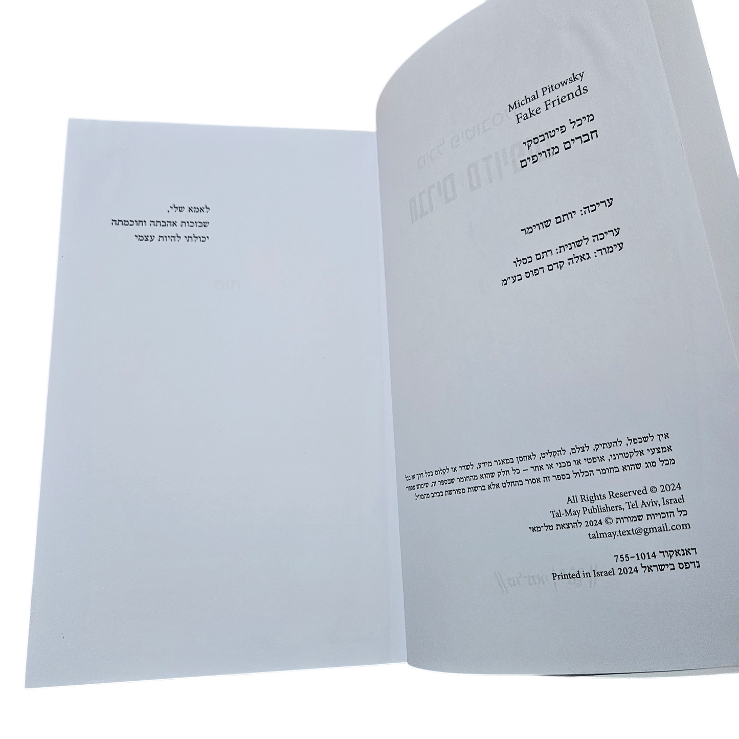 חברים מזוייפים - מיכל פיטובסקי