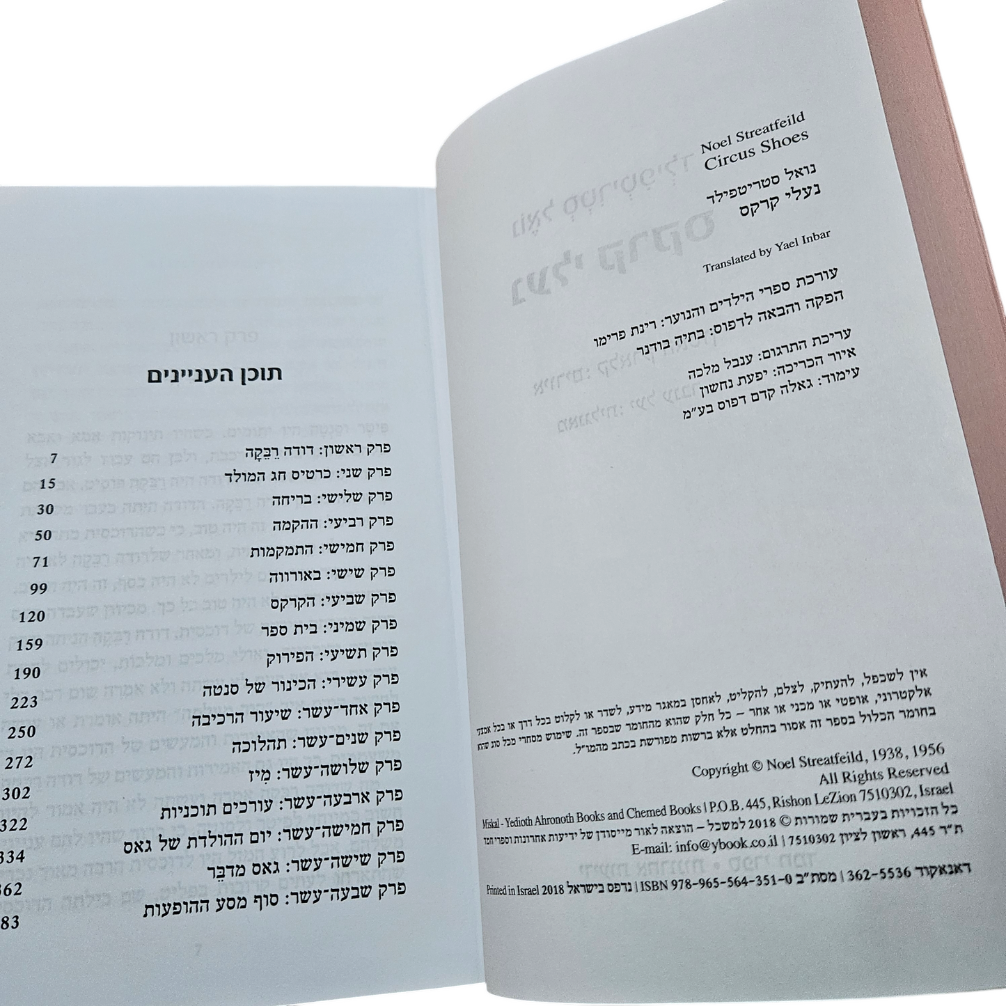 נעלי קרקס - נואל סטריטפילד