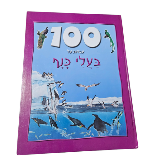 100 עובדות על בעלי כנף