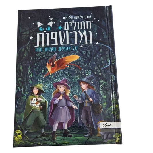 חתולים ומכשפות - על קסמים תקלות ועוד