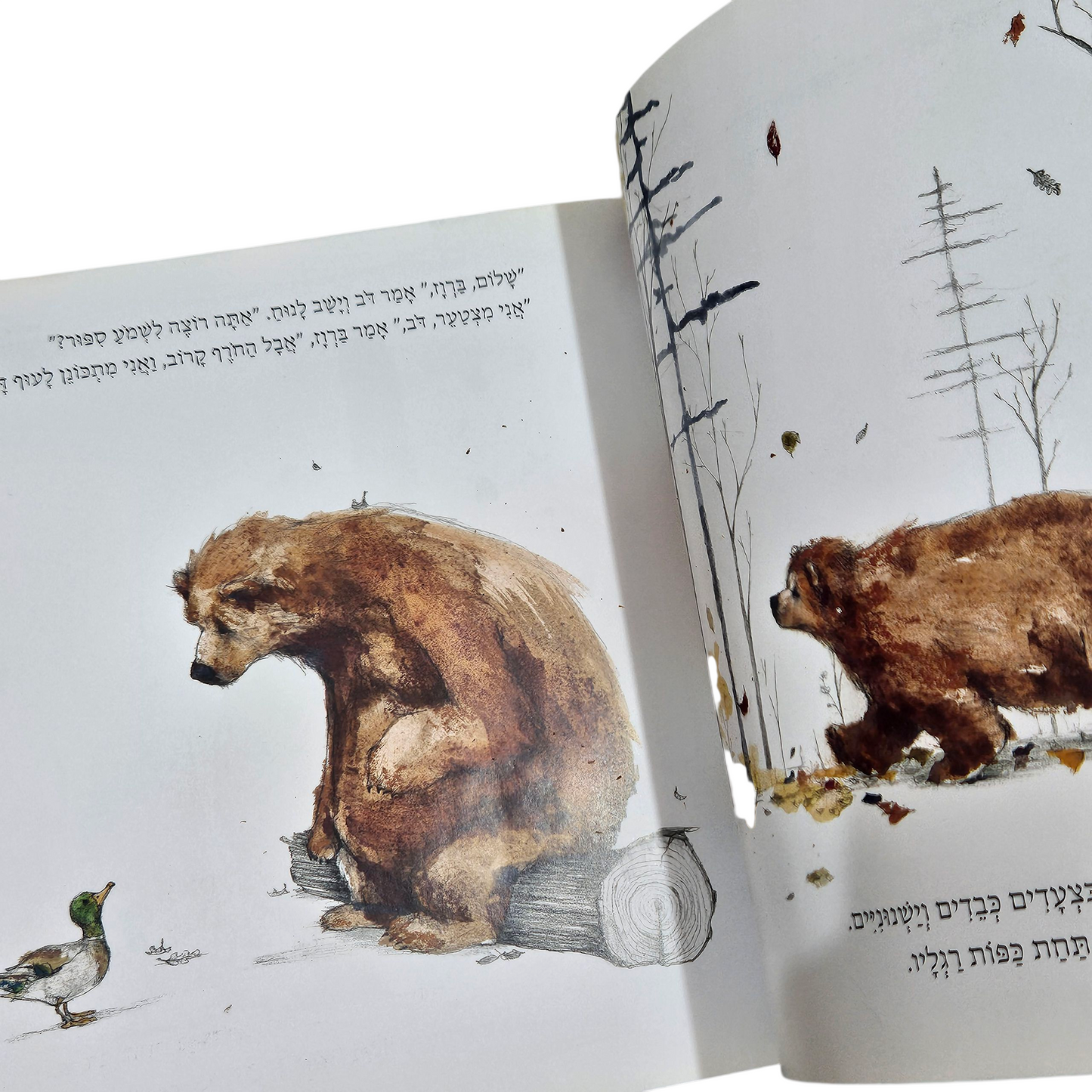 הסיפור הטוב של דב - פיליפ ס סטיד‎