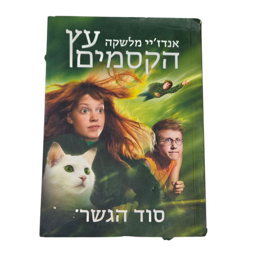 אנדז'יי מלשקה עץ הקסמים - סוד הגשר‎