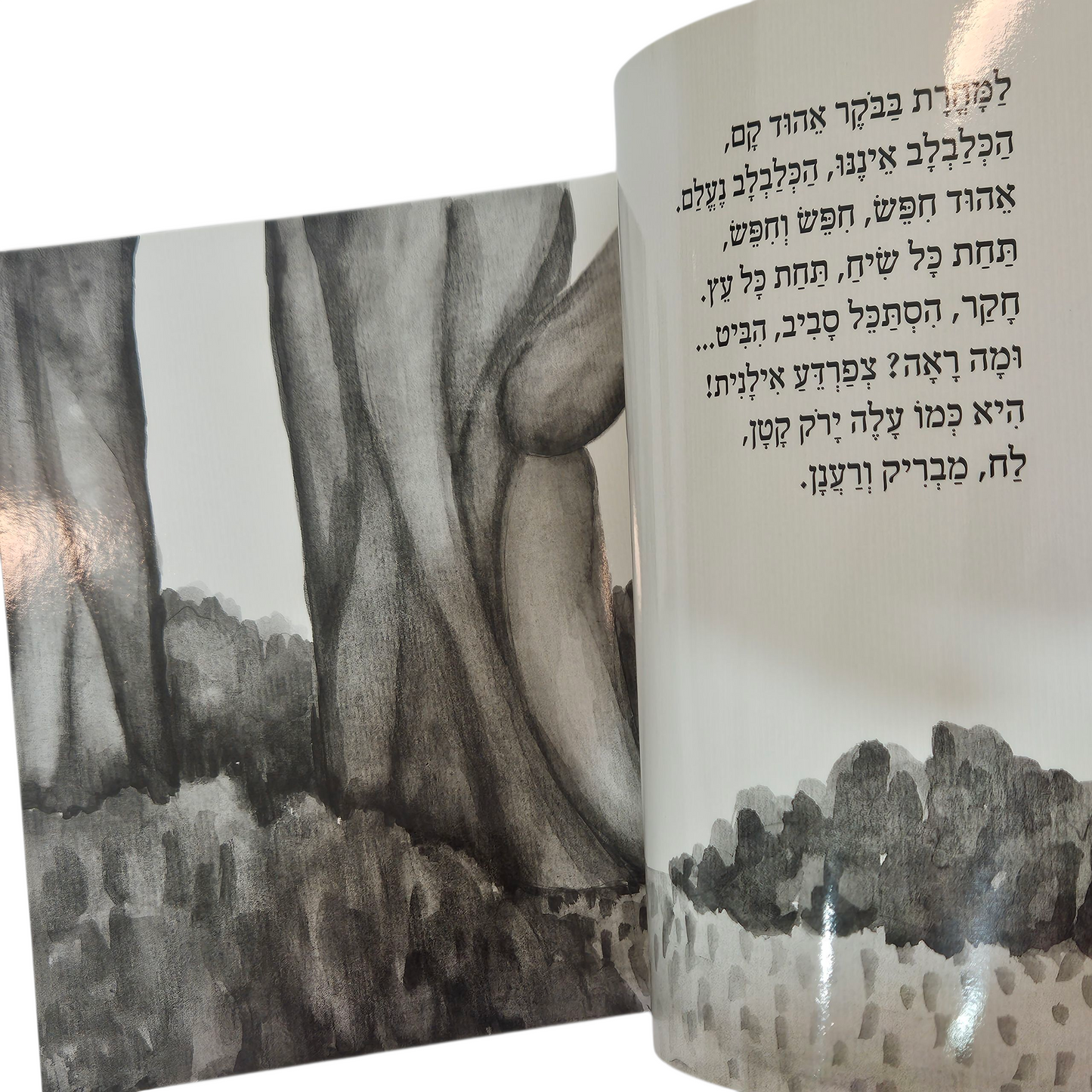 אני אוהב לחפש - מרים רות‎