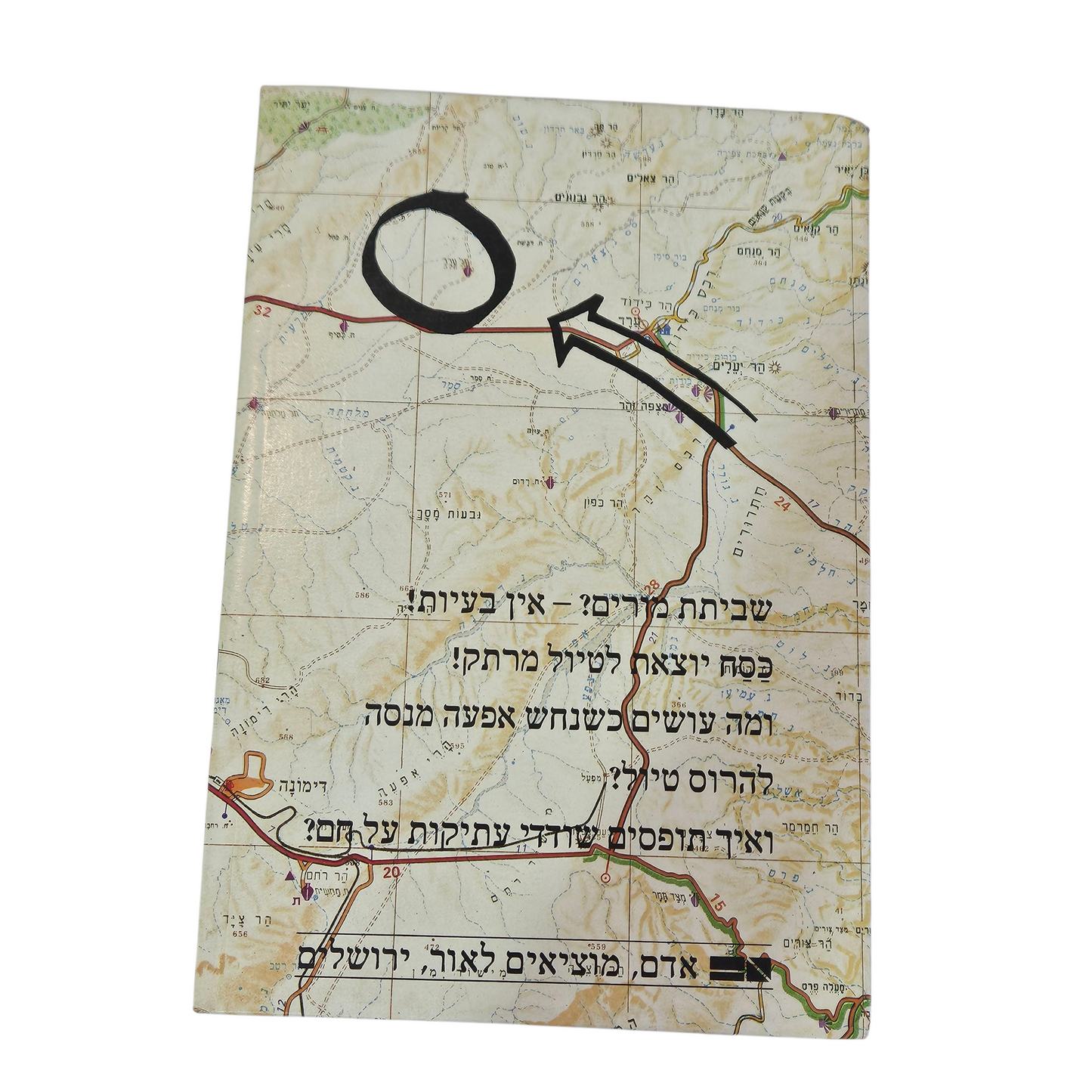החרס מתל ערד - גלילה רון פדר‎
