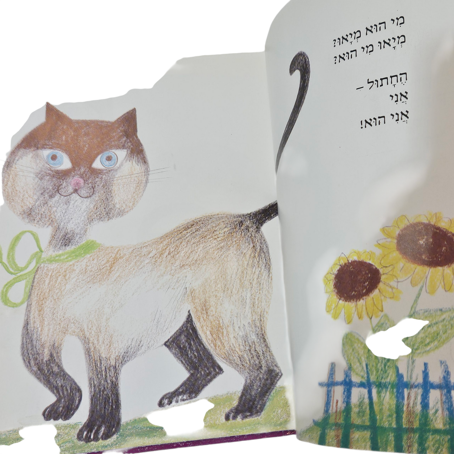 קטני קטנים - מיריק שניר‎