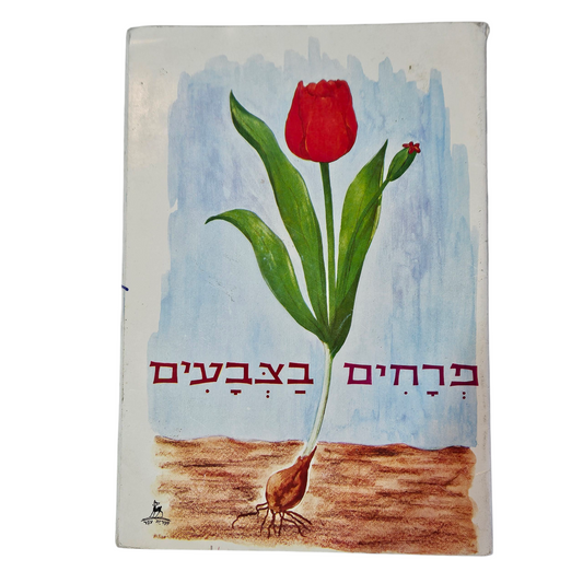 פרחים בצבעים - ספרית עפר‎