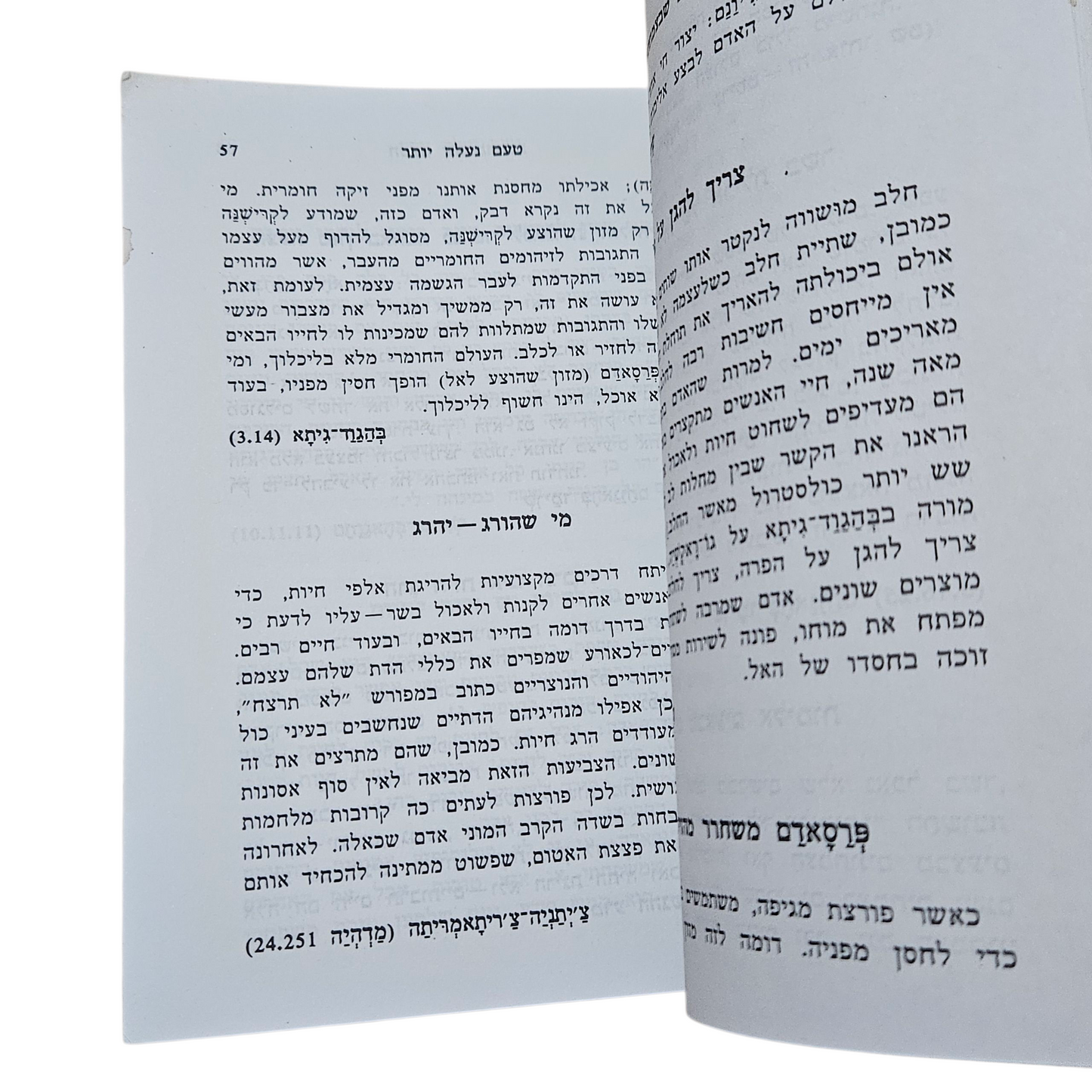 הטעם שבצמחונות - אדי ראג'