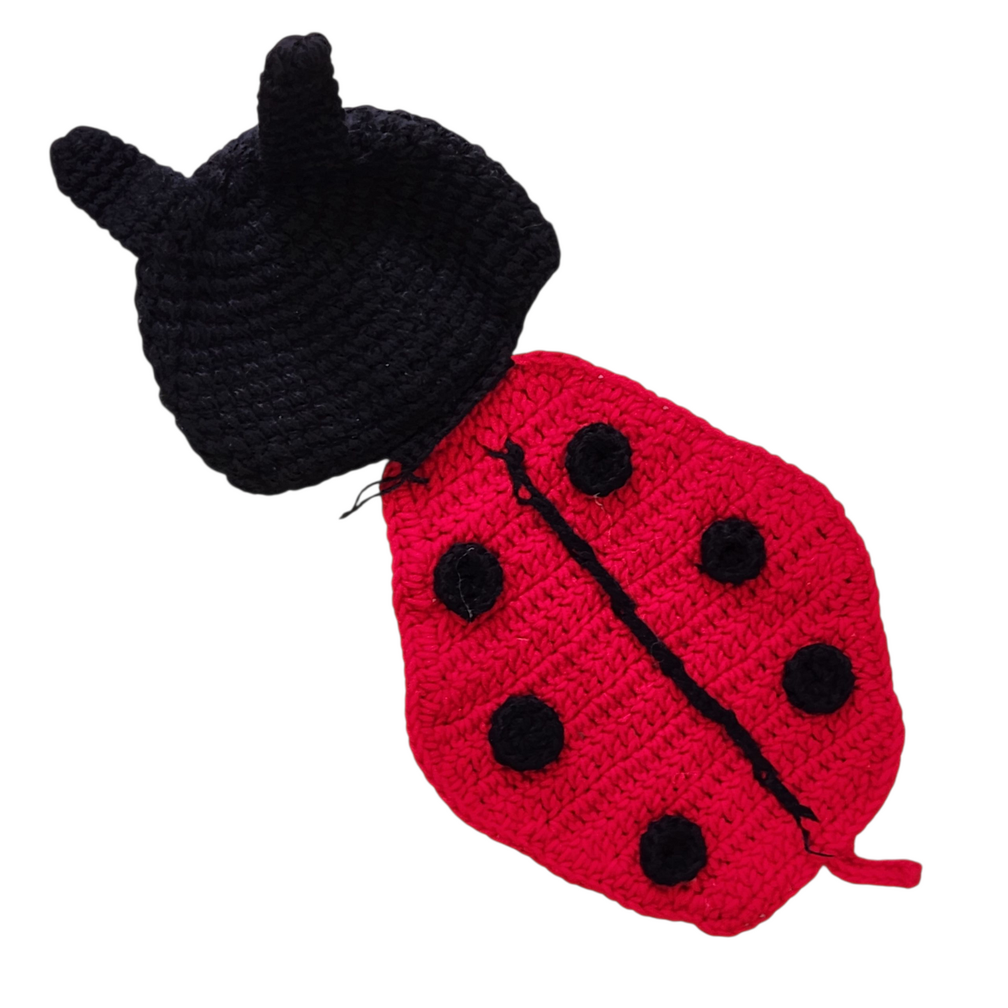 תחפושת חיפושית סרוגה לתינוק 0-6 חודשים